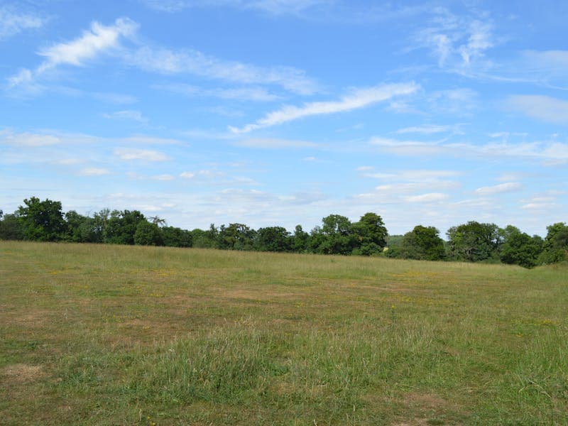 Фермерское хозяйство в российской глубинке